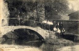 Passerelle du Bas-Rez sur le Furens : Saint-Étienne | 