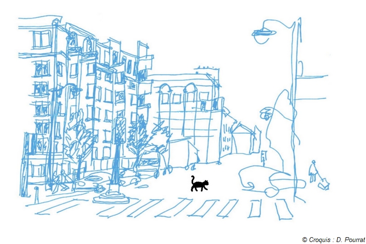 Un chat dans la ville | 